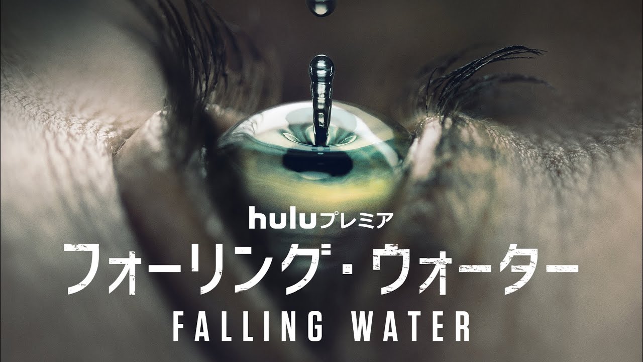 海外ドラマ フォーリング ウォーター 感想 評価 夢と現実が交錯し不思議な魅力を持ったドラマだ 辰々のお薦め映画とベストテン